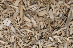 biomass boilers Ladyridge