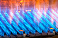 Ladyridge gas fired boilers